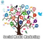 Social Media Marketing NIPL
